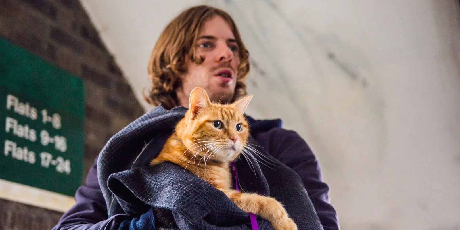 landscape-1472746745-a-street-cat-named-bob-luke-treadaway