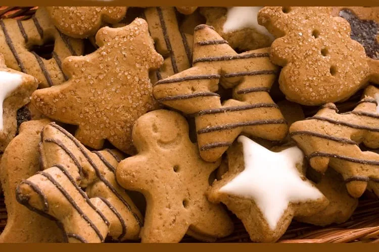 Fitness: Biscoitos integrais industrializados são saudáveis?