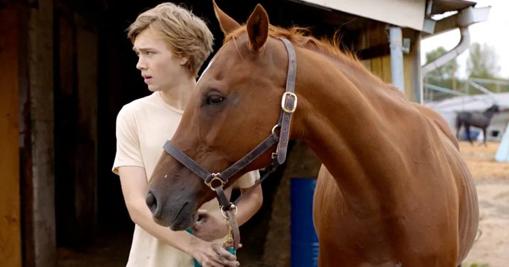 Crítica: A Rota Selvagem (Lean on Pete) | 2017