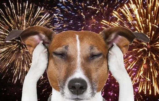 fogos