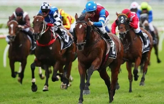 Jockey