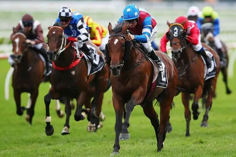 Jockey