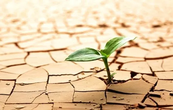 resiliência