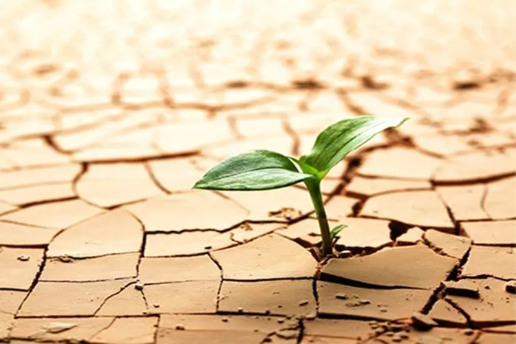 resiliência