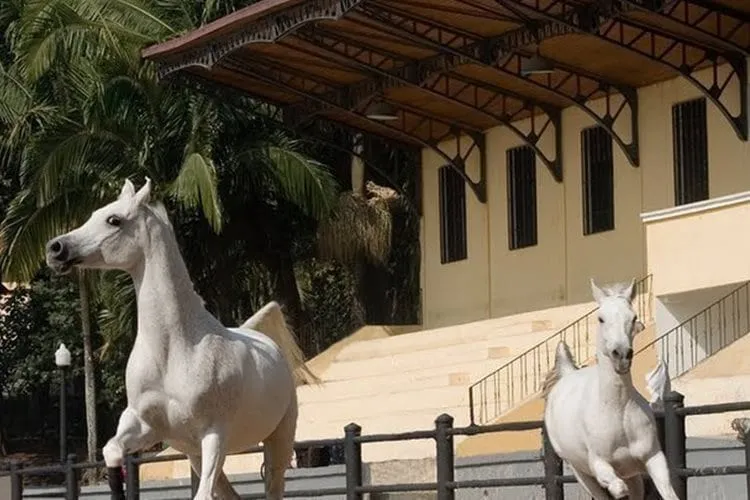 parque