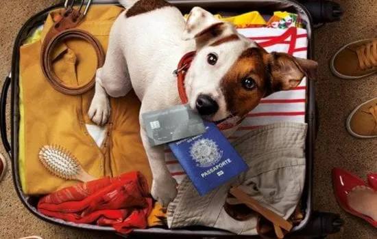 pet