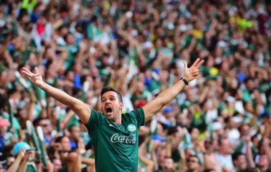 palmeiras
