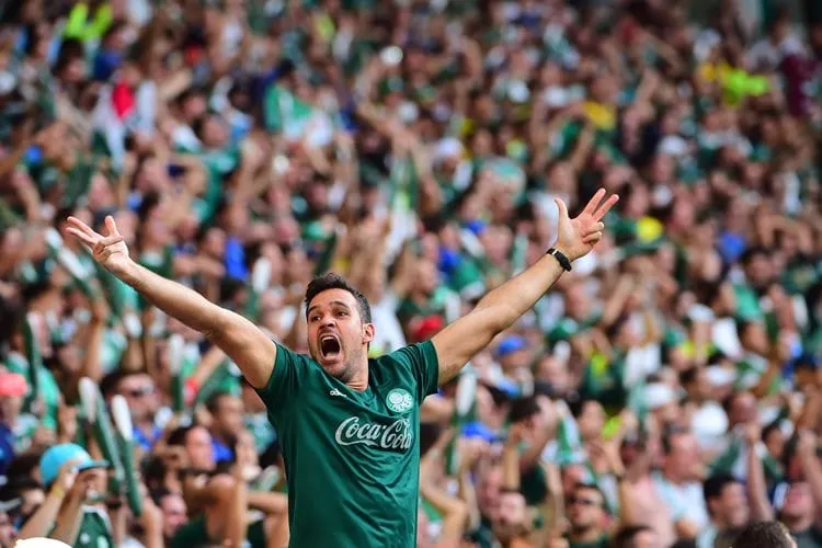 palmeiras