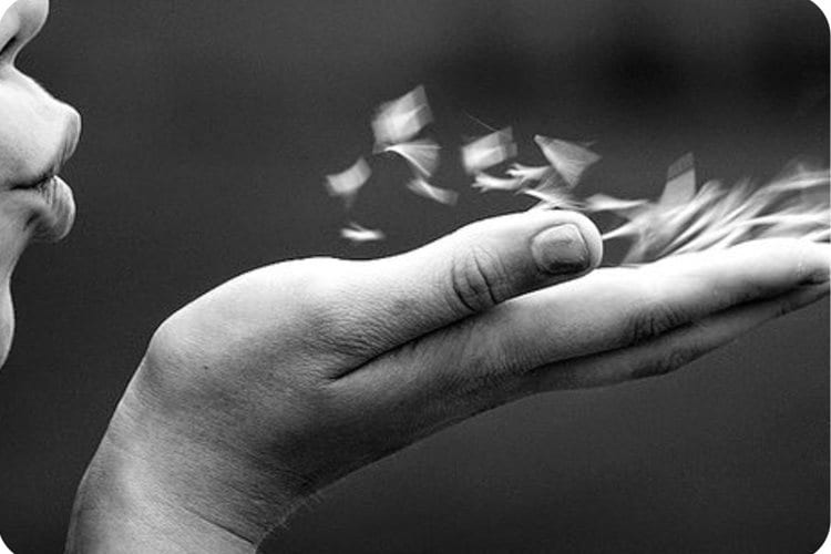 vida