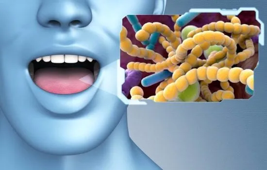 bactérias