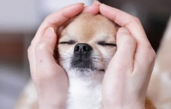 Reiki