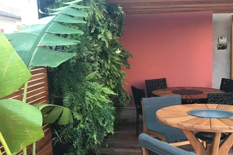 Rodrigo Andreoli: Paisagismo e jardins