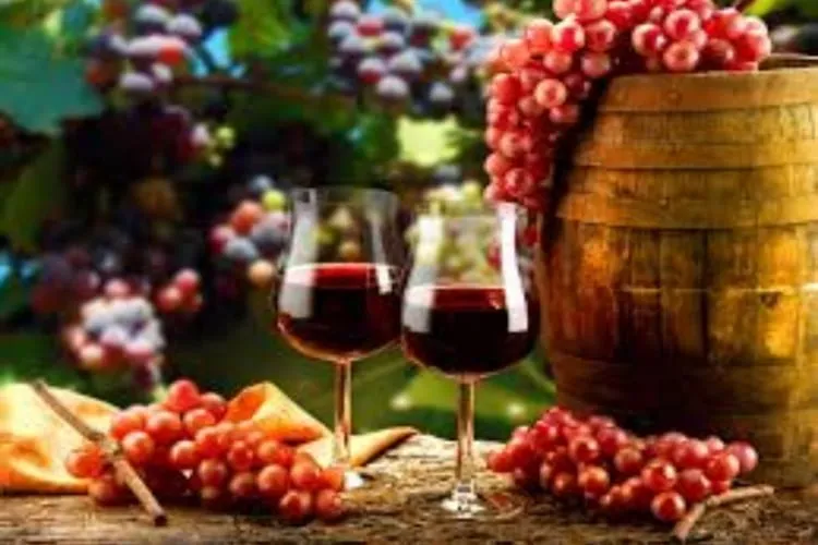Iramaia Loiola: Minhas uvas preferidas