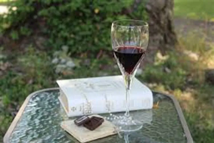 Iramaia Loiola: Querido Vinho na Bíblia