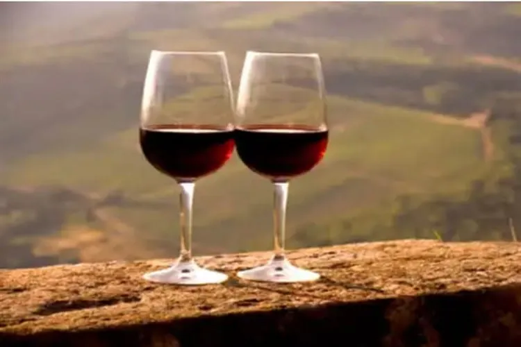 Iramaia Loiola: Novos tempos com o Querido Vinho
