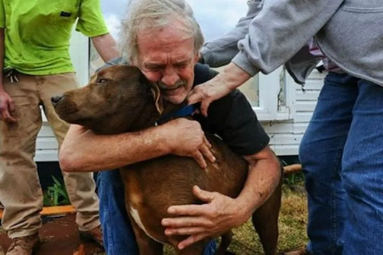 Rodrigo Donati: Memória canina