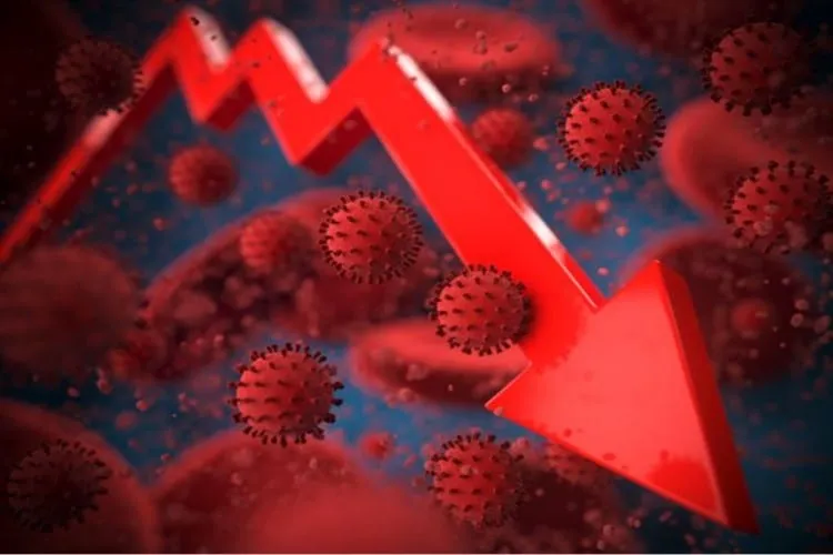 Regina Pitoscia - Coronavirus: mais do que cuidados com o seu dinheiro