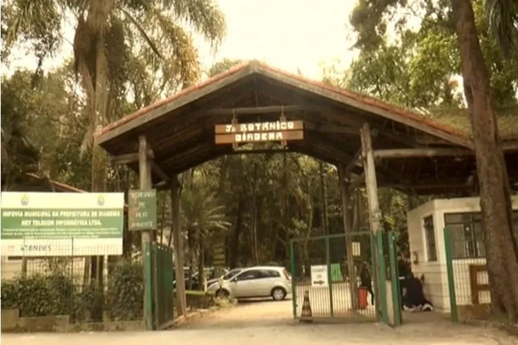 Sônia Pezzo: Jardim botânico de Diadema