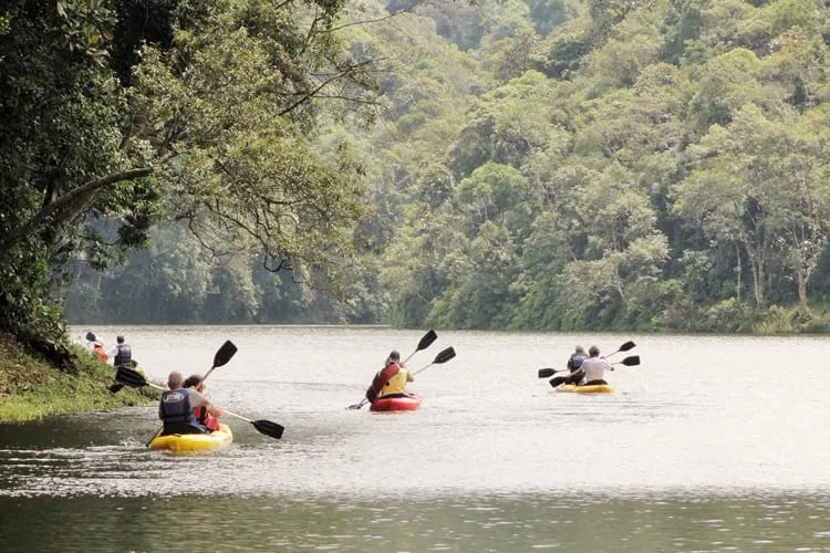 Sônia Pezzo: Represa Billings