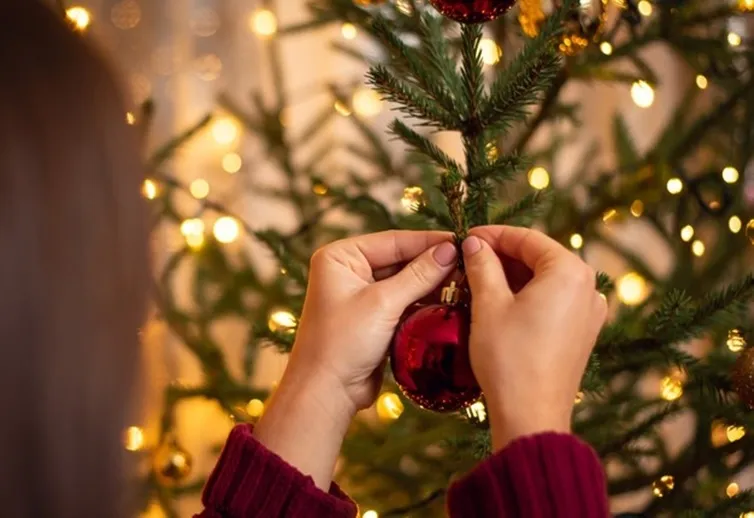 Lilian Schiavo: Feliz Natal!
