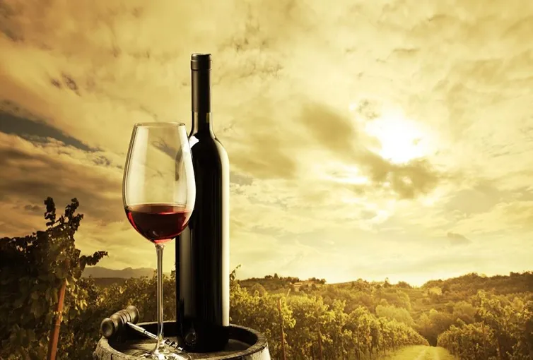 Iramaia Loiola: Qual a temperatura correta para degustar o QueridoVinho?