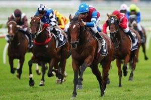 Jockey