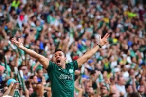 palmeiras