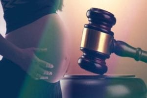 alimentos gravídicos