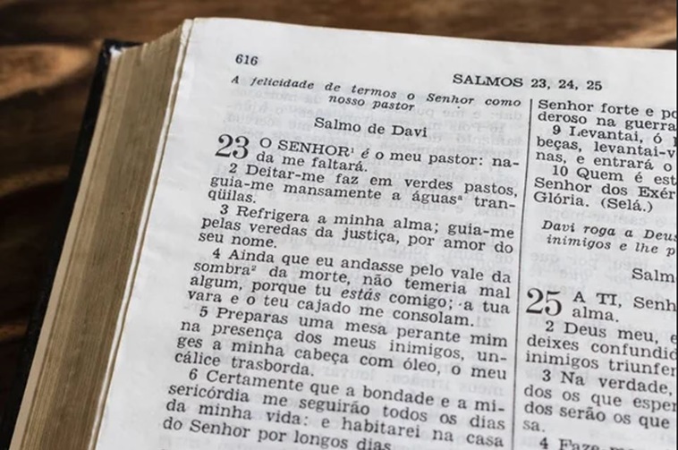 Livro O Salmo 23 e os Segredos para o Sucesso