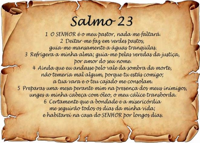 Meu Bom Pastor – 6 lições do Salmo 23 – Ministérios Pão Diário