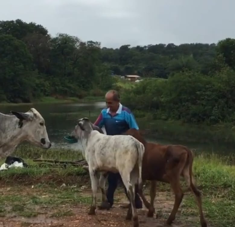 Riquezas de Minas Gerais