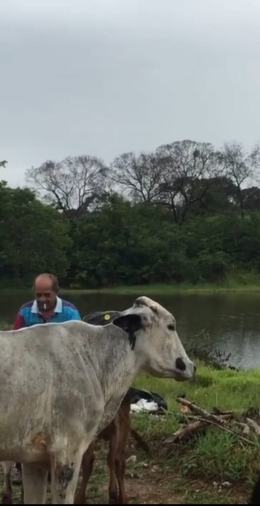 Riquezas de Minas Gerais