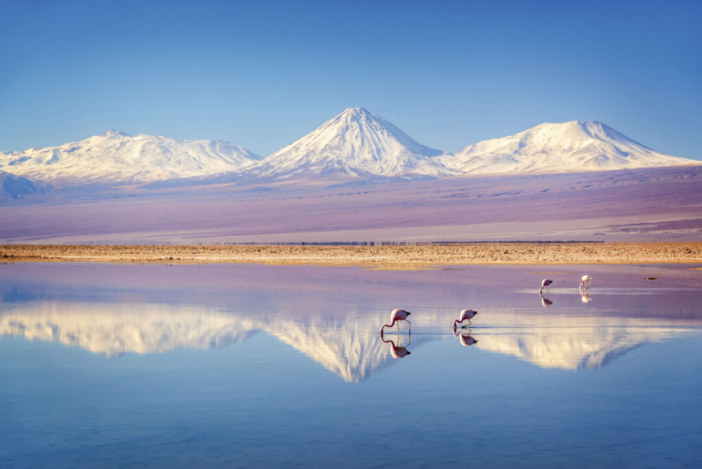 San Pedro de Atacama, no Chile, é destino tendência para 2025